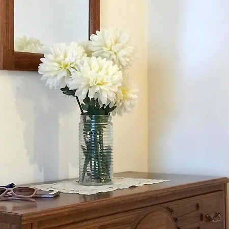 Casa Nazare * Vilar Torpim