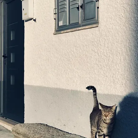 Casa Nazare Vilar Torpim