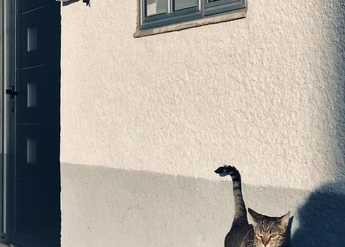 Casa Nazare Vilar Torpim